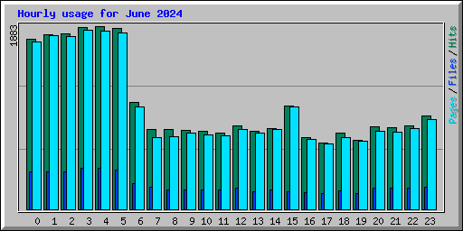 Hourly usage for June 2024