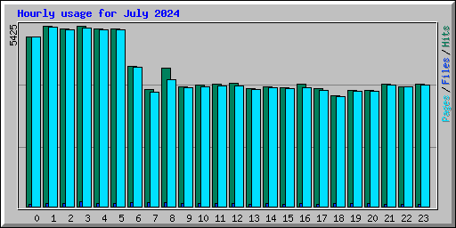 Hourly usage for July 2024