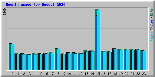 Hourly usage for August 2024