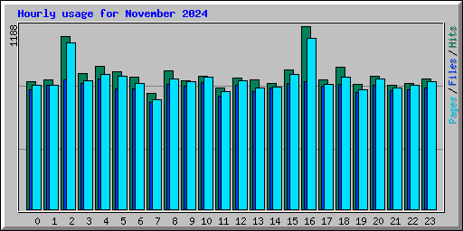 Hourly usage for November 2024