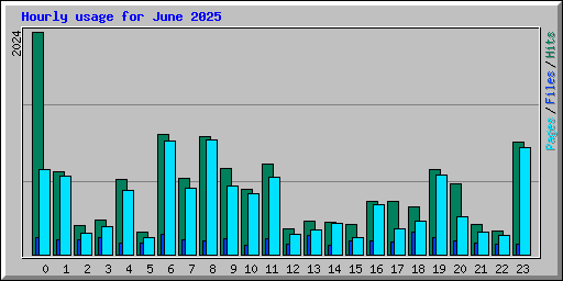 Hourly usage for June 2025