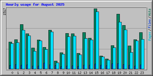 Hourly usage for August 2025