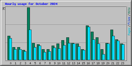 Hourly usage for October 2024