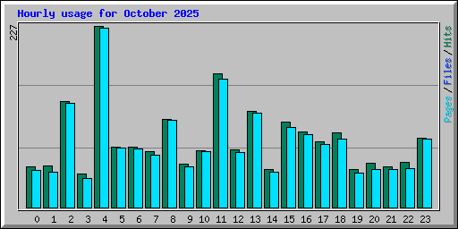 Hourly usage for October 2025